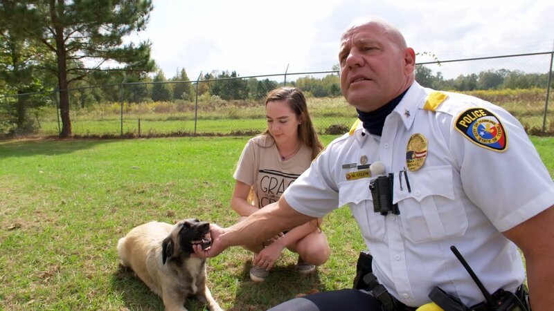 Manfred Gilow – Bild: DMAX