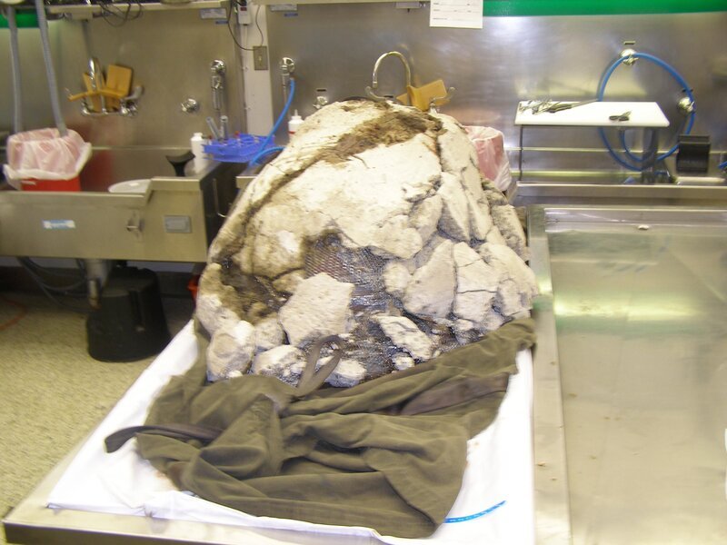 OLYMPUS DIGITAL CAMERA – Bild: Oxygen Cable LLC