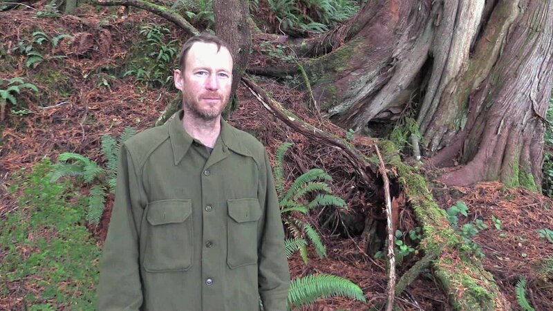 non linear distribution – Bild: DMAX