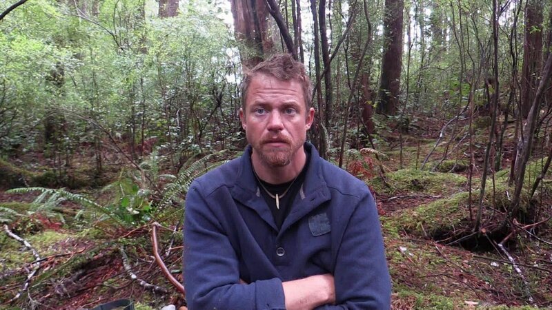 non linear distribution – Bild: DMAX