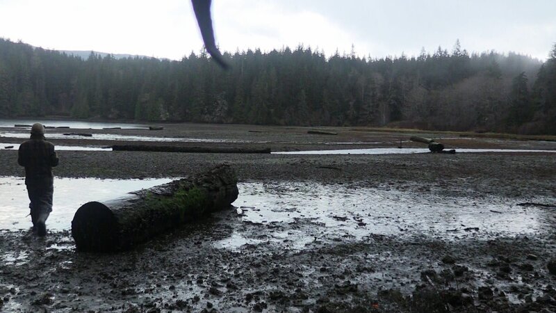 non linear distribution – Bild: DMAX