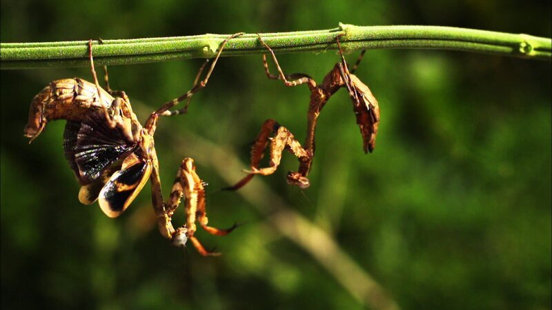 . – Bild: Warner Bros. Discovery