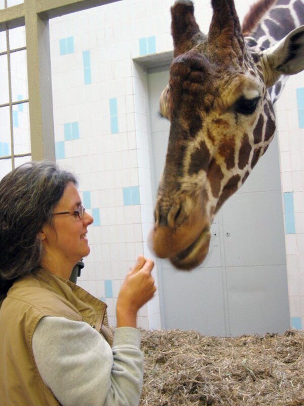 Tiergarten Nürnberg 39 Tierärztin Dr. Katrin Baumgartner mit Giraffe Charly – Bild: rbb