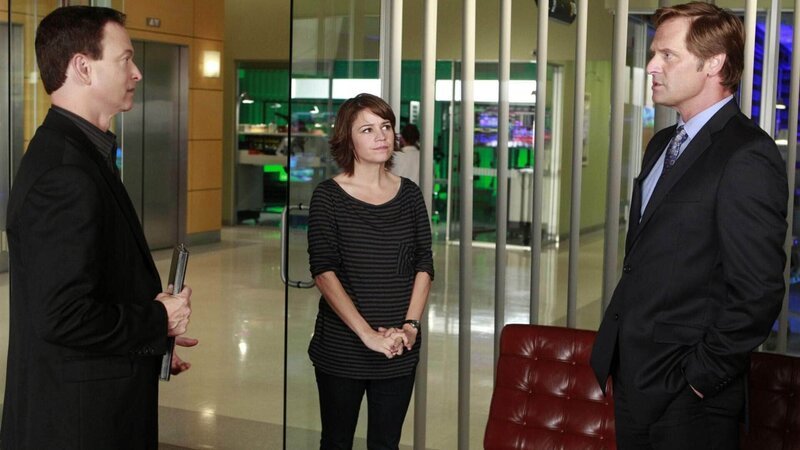 (v.l.): Det. Mac Taylor (Gary Sinise), Det. Lindsay Monroe (Anna Belknap) und Senator Kirk Matthews (Jeffrey R. Nordling) – Bild: MG RTL D /​ CBS