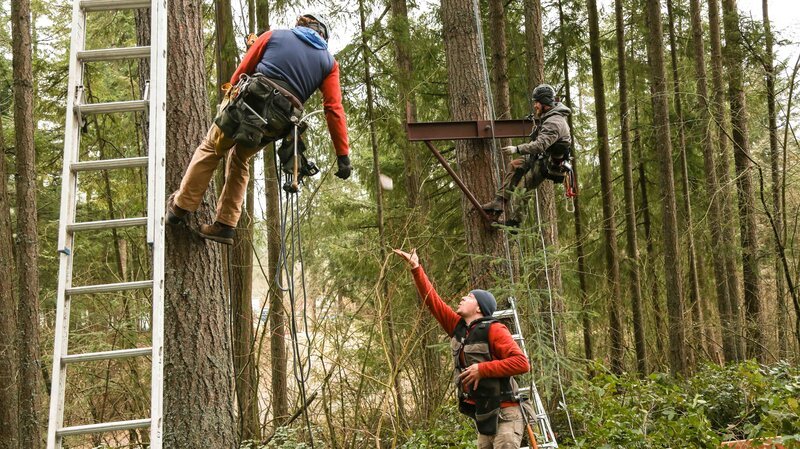 During the construction of the Auburn, WA treehouse. – Bild: Discovery Communications