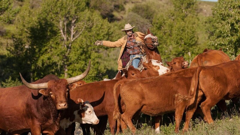 Jack Bartlett (Shaun Johnston) – Bild: MG RTL D