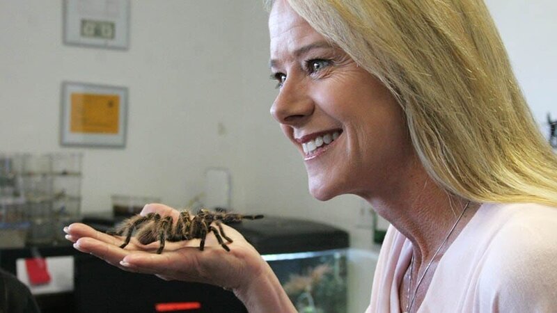 Dr. Z and the tarantula in Lodi pet store. – Bild: Discovery Communications