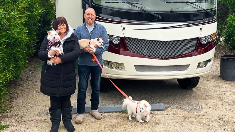 Eine Frau und ein Mann stehen mit Hunden – Bild: Banijay Rights Limited