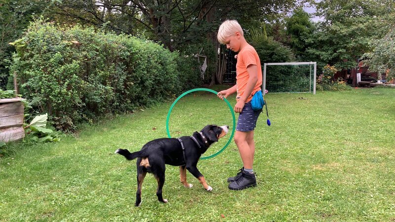 Brunos möchte Knicki durch einen Reifen führen, aber das scheint so gar nichts für Knicki zu sein. – Bild: MDR/​STARSHIP FILM GmbH