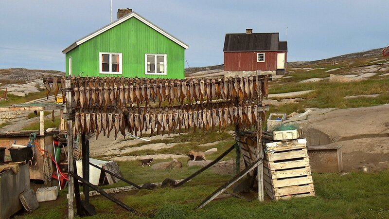 Heilbutt-Filets müssen sechs Monate trocknen. – Bild: 3sat