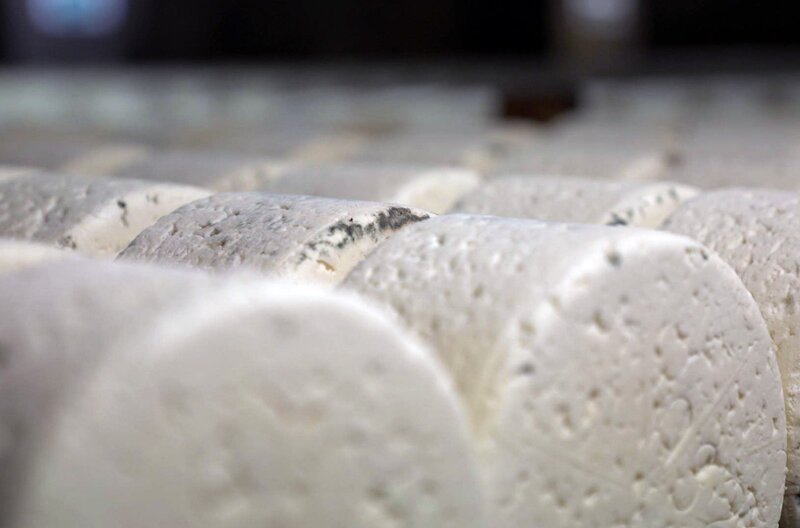 Der Roquefort: Was ist das Geheimnis der Herstellung des Blauschimmelkäses? – Bild: Elephant Doc
