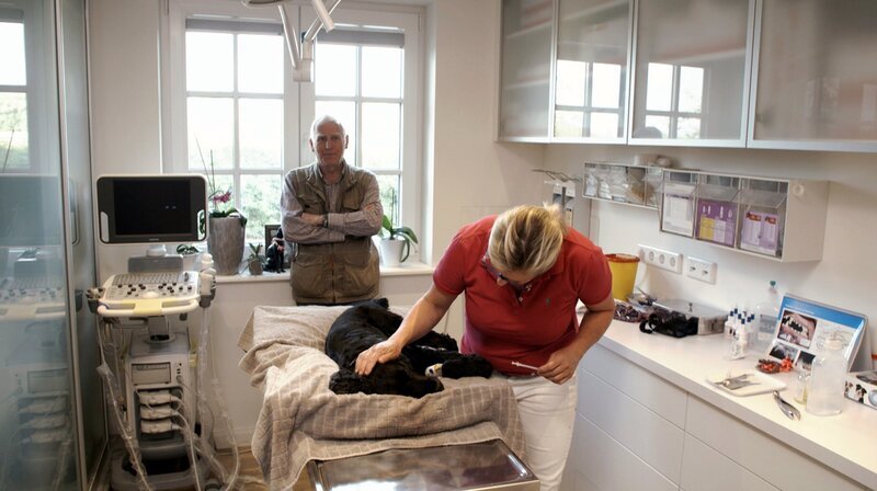 Cocker Spaniel Wasko hat starken Maulgeruch. Besitzer Hermann Bauer ist entspannt und vertraut voll und ganz der Inseltierärztin. – Bild: NDR/​Doclights GmbH 2020