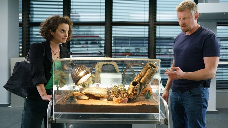 Pia Hinterberger (Elisabeth Kanettis) möchte Leandras Bartagame mitnehmen. Major Max Herzog (Martin Gruber) ist erstaunt. – Bild: ZDF und Petro Domenigg/​FILMSTILLS.AT KG