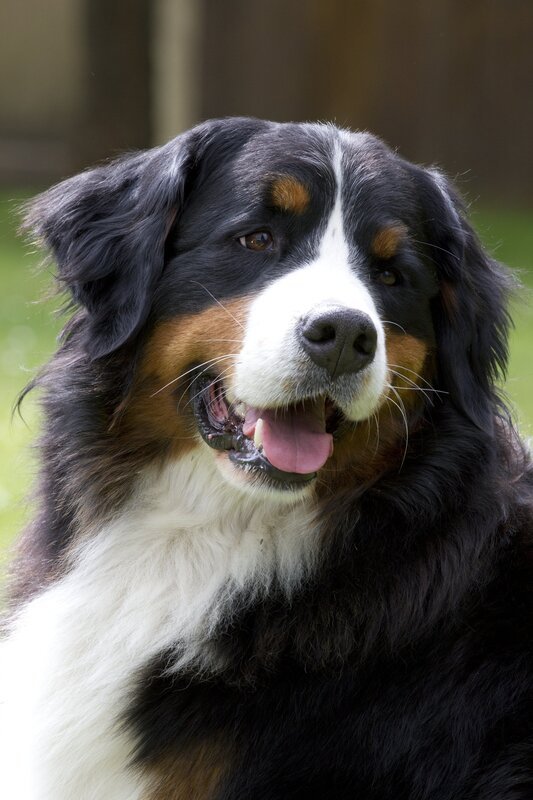 Keks hört es rufen. Wer mag das sein? – Bild: ZDF und Zia Ziarno