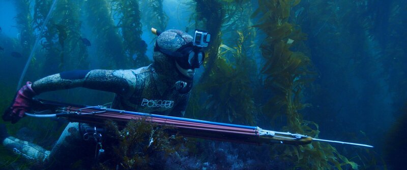 In der Tiefe des Meeres wie ein Fisch: Die Speerfischerin Mitsuki auf der Jagd nach Beute. – Bild: ZDF und Johannes Waltermann