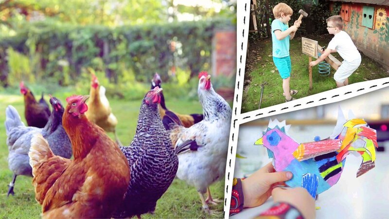 Kinder bauen einen Hühnerstall und basteln ein Steckhuhn. – Bild: KiKA/​Motion Works GmbH