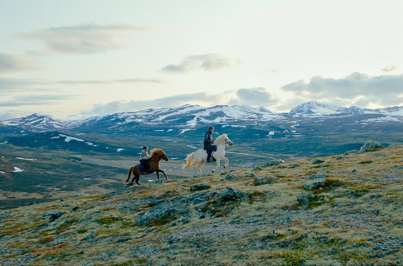 Reiter im Dovrefjell – Bild: RBB /​ molleundkorn/​David Schmitt