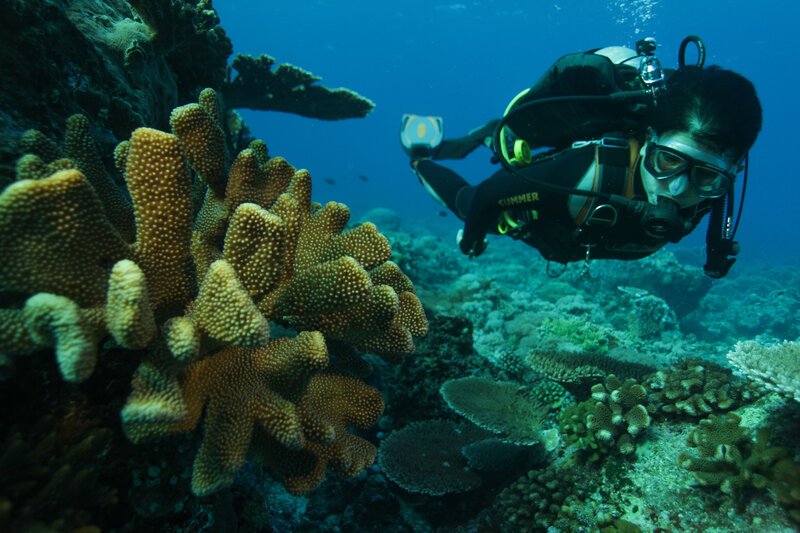 . – Bild: Marco Polo TV