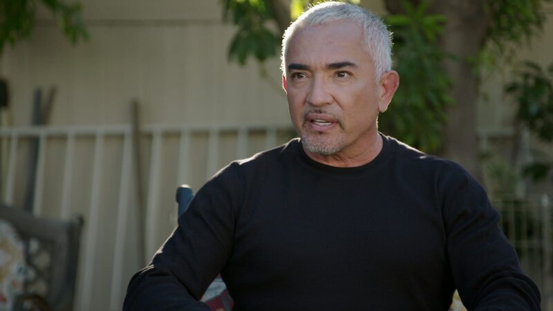 Cesar unterhält sich mit einem Kunden. (National Geographic) – Bild: National Geographic