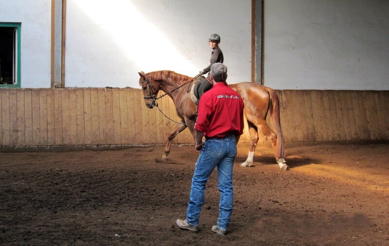 Pferdeprofi Bernd Hackl und Pferdebesitzerin Sabrina mit Stute „Pandora“. – Bild: VOX /​ Mina TV