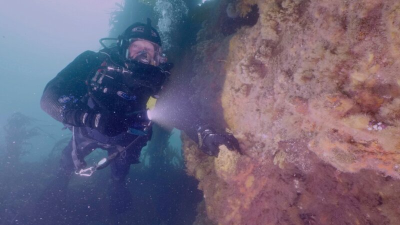 Ross Kemp-Schatzsuche am Meeresgrund EP U-Boot-Terror – Bild: honeyB-ZLW /​ THE HISTORY CHANNEL /​ Honey Bee Media