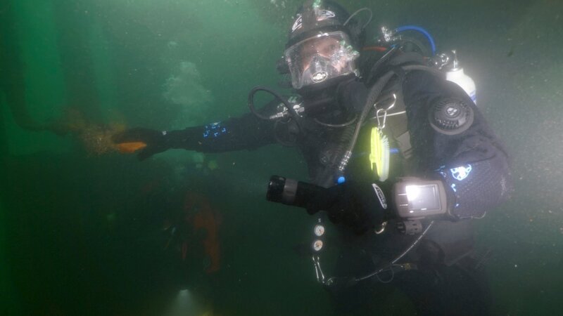 Ross Kemp – Bild: honeyB-ZLW /​ © THE HISTORY CHANNEL /​ Honey Bee Media