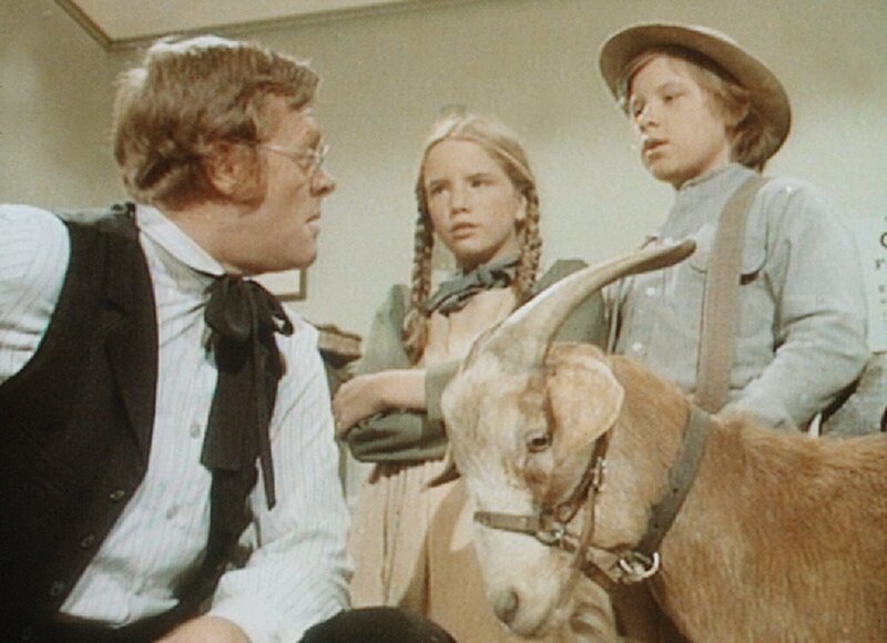 Laura (Melissa Gilbert, M.) und Carl (Brian Part, r.) können es kaum glauben, aber Dr. Baker (Kevin Hagen, l.) ist sich sicher: Der Ziegenbock ist völlig betrunken. – Bild: Sat.1 Gold