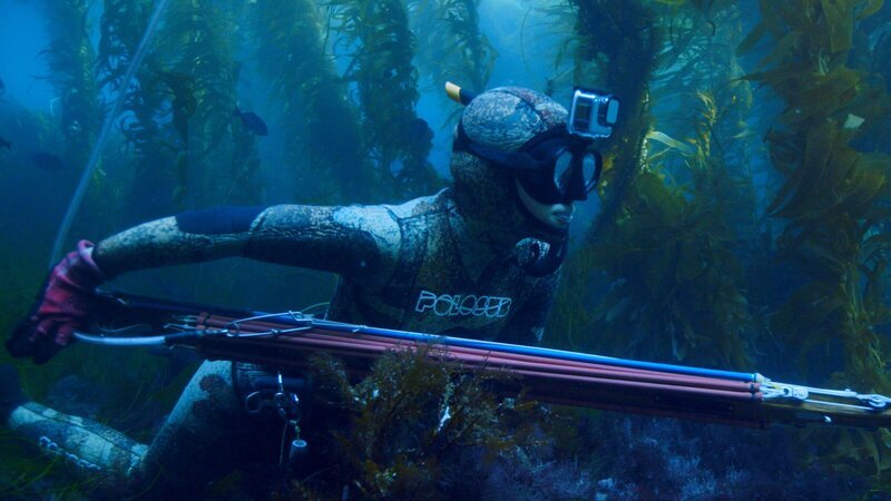 In der Tiefe des Meeres wie ein Fisch: Die Speerfischerin Mitsuki auf der Jagd nach Beute. – Bild: ZDF und Johannes Waltermann