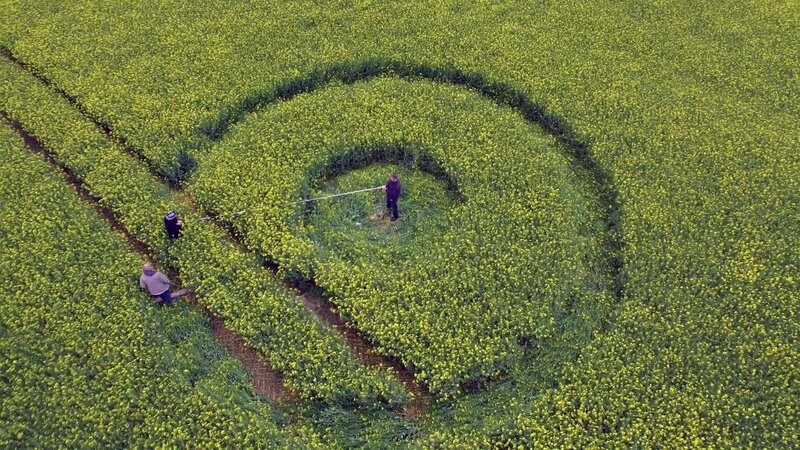 Auch wenn sie oft mit UFO-Landungen in Verbindung gebracht werden, können Kornkreise auch leicht von Menschenhand erstellt werden … – Bild: A&E TELEVISION NETWORKS, LLC