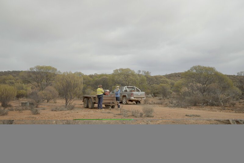 Bild: Electric Pictures Pty Ltd