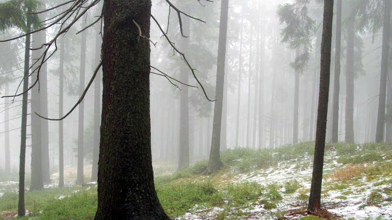 Nebel am Mandelstein. – Bild: ZDF und ORF/​Kurt Mündl