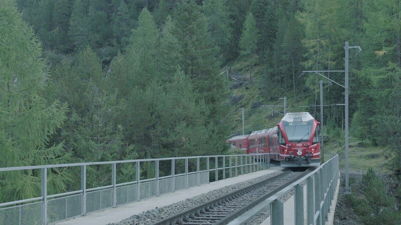 Lärche als Schutzbaum. – Bild: ZDF und SRF, Mediafisch