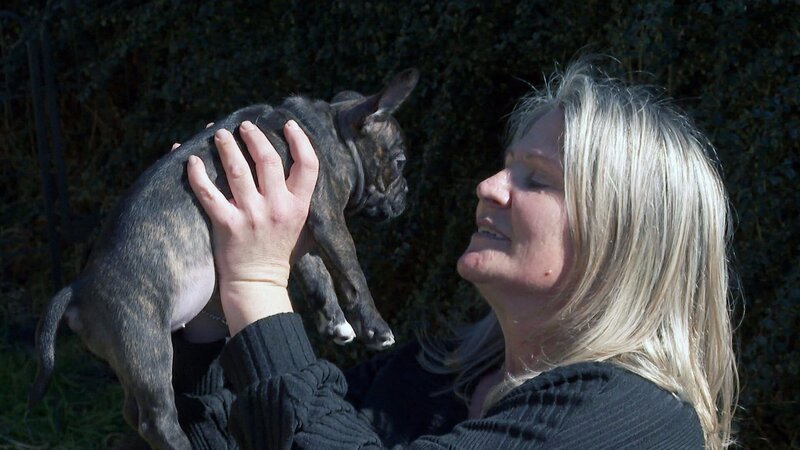 Laut Statistik Austria lebt in jedem zehnten Vorarlberger Haushalt mindestens ein Hund - Tendenz steigend. – Bild: ORF/​ORF-Vorarlberg