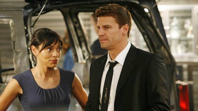 Dr. Saroyan (Tamara Taylor, l.) und Booth (David Boreanaz) untersuchen den Mord an einer unschuldigen Hausfrau und Mutter, die in ihrem Auto in die Luft gesprengt wurde. – Bild: RTL /​ FOX