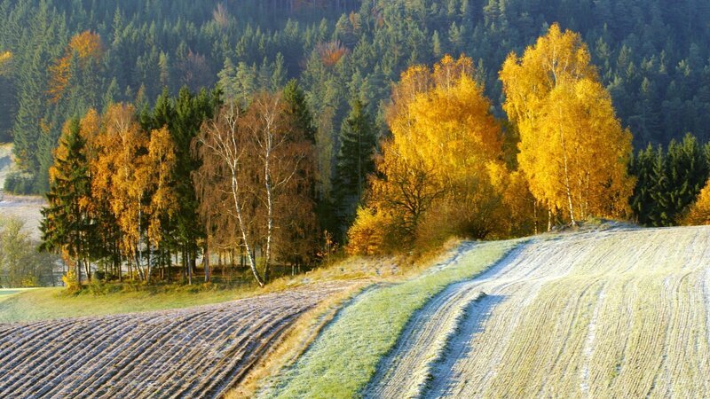 Herbstlandschaft. – Bild: ZDF und ORF/​Kurt Mündl