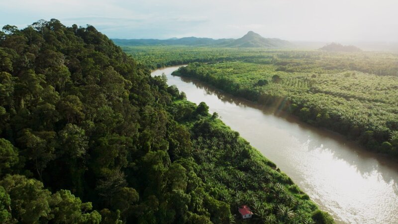 Ein tropischer Fluss schlängelt sich durch Malaysia. – Bild: Längengrad Filmproduktion/​BR
