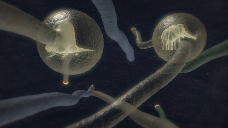 Die bahnbrechende Idee der Evolutionstheorie geht auf Charles Darwin zurück und lässt heute Zusammenhänge zwischen den verschiedensten Tierrassen erkennen. – Bild: Scope FX /​ Gruppe 5 Filmproduktion /​ ZDF