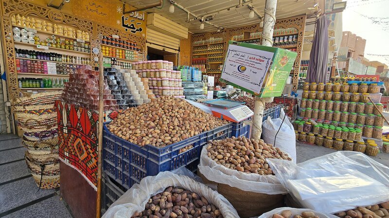 Für die Oasenbewohner sind Datteln eine Art Superfood und zählen zu den Hauptnahrungsmitteln in der Wüste. – Bild: NDR/​Daniela Pulverer/​K22film