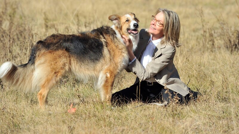 Für Beth (Diane Keaton) wird ihr Hund Freeway zu einem treuen und ständigen Begleiter. – Bild: 3sat
