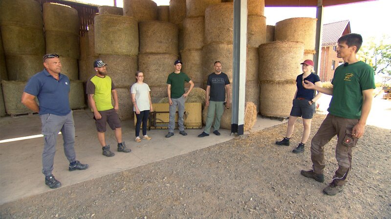 Daniel Wehmeyer (rechts) und seine freiwilligen Helfer*innen – Bild: NDR Daniel Wehmeyer (rechts) und seine freiwilligen Helfer*innen – Bild: NDR