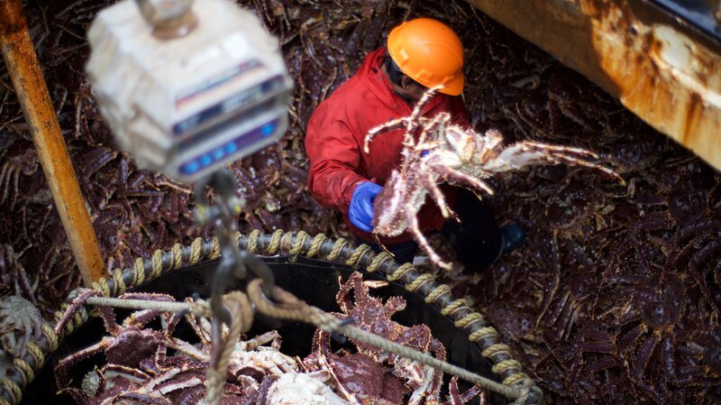 The Cape Caution offloading their haul at the dock. – Bild: Discovery Communications