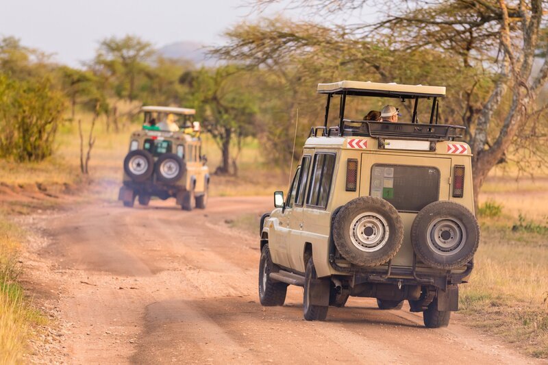 Open roof 4x4  safari jeeps on african wildlife safari. – Bild: Matej Kastelic