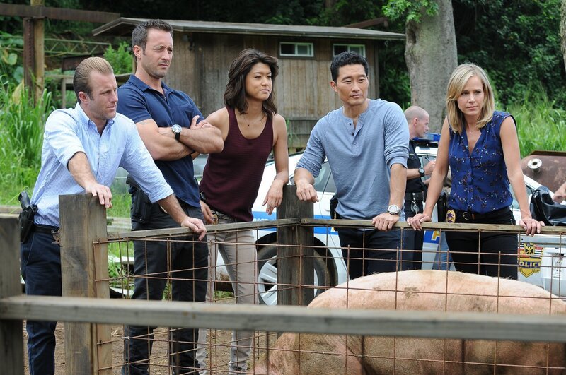 Müssen den Mord an einen Wirtschaftsprofessor der Universität aufklären: (v.l.n.r.) Danny (Scott Caan), Steve (Alex O’Loughlin), Kono (Grace Park), Chin (Daniel Dae Kim) und Abby Dunn (Julie Benz) … – Bild: 2015 CBS Broadcasting, Inc. All Rights Reserved /​ Norman Shapiro Lizenzbild frei