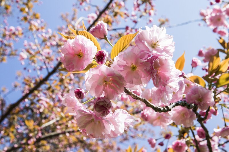 Frühling – Bild: ServusTV /​ Manuel Seeger