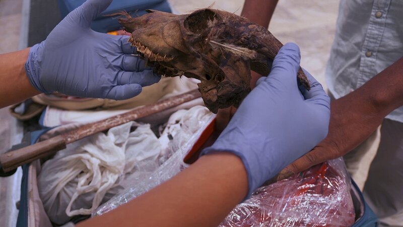 Border Control – Bild: Discovery Communications.