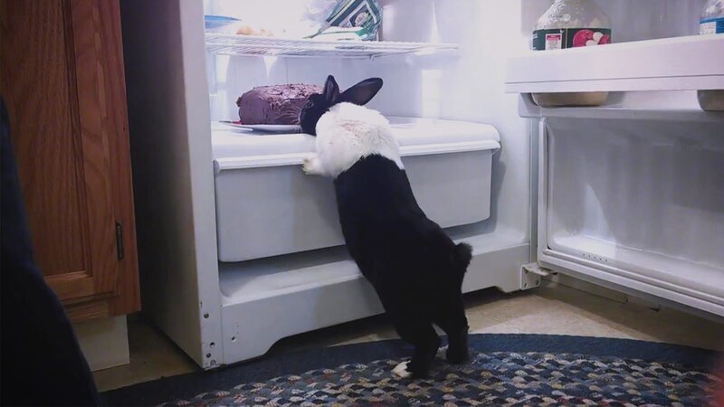 . – Bild: Warner Bros. Discovery