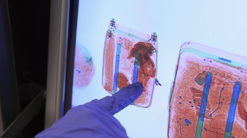 Border Control – Bild: CINE NATURALEZA Y TELEVISION S.L /​ Discovery Communications.