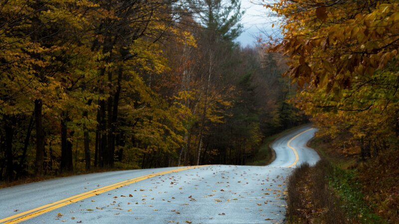 A creepy road. – Bild: Investigation Discovery /​ Discovery Communications