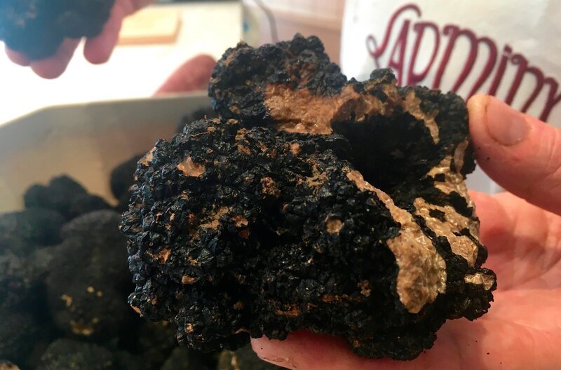 Schwarze Trüffel aus Lothringen – Bild: SR/​Maria C. Schmitt