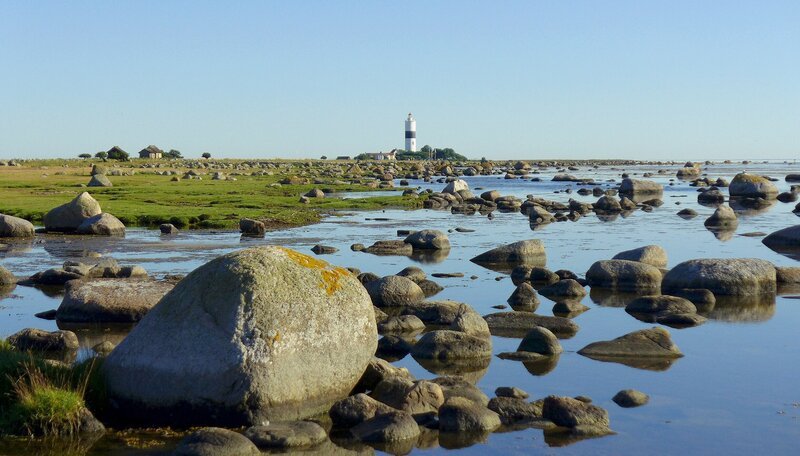 Steine und Felsbrocken prägen die Südküste der schwedischen Insel Öland. – Bild: NDR/​Johannes Rudolph